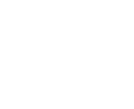 paradise point marine logo